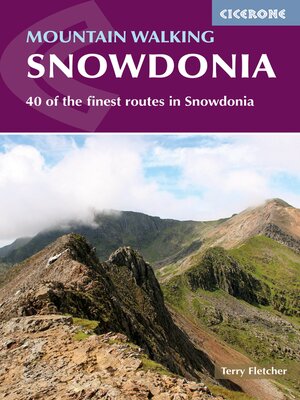 cover image of Mountain Walking in Snowdonia